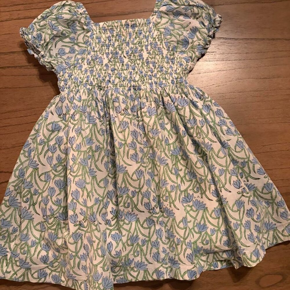 Toddler's Little Paisley People Floral Smocked Dress S 3T